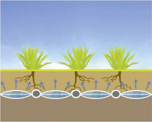 Bild von DW Wasserverteilung 2 xAEFT